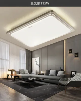 Philips | LED Ceiling Light Silver Rectangular For Living Room