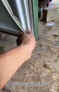 ขอบยางตู้เย็น สำหรับ HITACHI รุ่น R-T230W