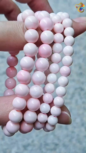 Premium Grade Queen Conch Bracelet