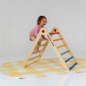 AVDAR | Foldable Dual-Purpose Climbing Frame