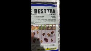 DEBESTAN 60 WP 15 Gram Obat Keong Siput Padi Sawah