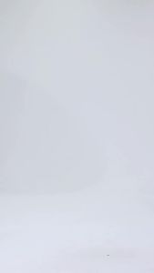 Summer Hot Sale Womens Long Sleeve T-Shirt Back Mesh Running Breathable Top Yoga Fitness Clothes Womens Basic Training Clothes