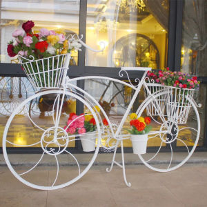 MOLORE | Iron Bike Shaped Flower Stand Home Decor & Photography Prop