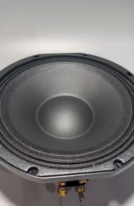 Loa bass 25 HIWELL  neo khối 100 côn 76