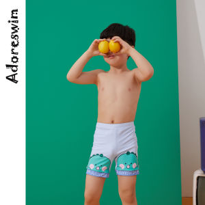 Stylish Hot Spring and Beach Swim Trunks for Boys