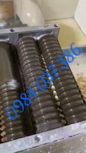 Máy tạo viên trân châu tươi viên nghệ mật ong trục Inox LD88A