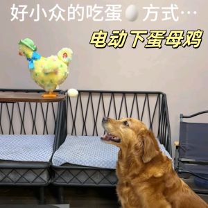 Đồ Chơi Búp Bê Lông Nhồi Bông Hoạt Hình Trò Chơi Điện Tử Đồ Chơi Mẹ Vịt Trò Chơi Tương Tác Giữa Cha Mẹ Và Con Cái Đồ Chơi Thú Nhồi Bông Trò Chơi Điện Tử