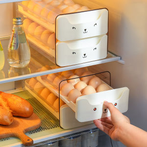 Double Layer Extended Egg Storage Box for Refrigerator