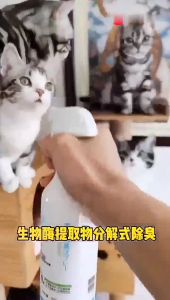 PET DIARY Spray Penghilang Bau Anjing Kencing Kucing Antibakteri Menjilati Tidak Berbahaya 500ML