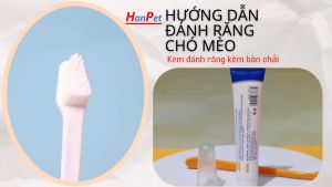 Hanpet - Bàn chải và Kem đánh răng cho chó mèo (bán lẻ) tooth ( 4711864)
