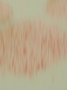 hạt khử mùi YEE  JONSANTY dành cho thỏ bọ hamter sóc....- T3 PETS SHOP