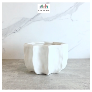 The Leaferie Cressa Flowerpot no drainage flowerpots flower pot plant pots planter Ceramic Plants