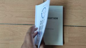 Buku Motivasi Do It Right Now