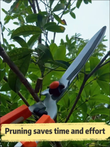 Garden Hedge Shears Garden Pruning Shears Hedge Grass Shears Extendable Pole for High Branches