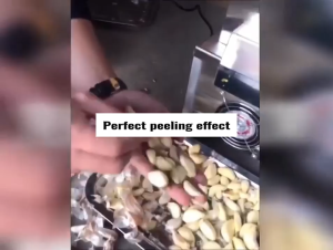 500W Electric Garlic Peeling Machine Mesin Kupas Bawang Putih Stainless Steel 35kg/H Garlic Peeling Maker Commercial