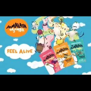 Himalaya Pastilles Peppermint / Vajomba Chewy & Minty Pastilles 25g