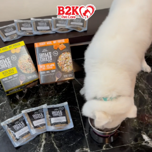 Absolute Holistic Home Cooked Style Recipe Gently Cooked Dog Food (2kg)