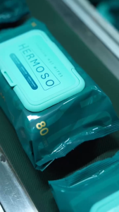 [PREMIUM] Thùng 10 Gói Khăn Ướt Cao Cấp Hermoso x EcoWipes 80 tờ Không Mùi An Toàn Cho Bé