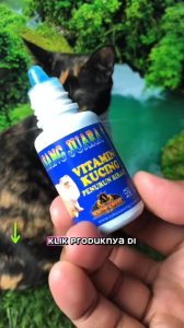 OBAT PENURUN BIRAHI KUCING BETINA DAN JANTAN