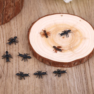 HANYIMOWAN | Realistic Ant Decorative Toy Environmental Friendly PVC