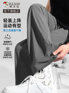 Ice Silk Sports Pants for Men Thin Quick Dry Loose Straight Leg Breathable Casual Summer Trousers by TUCANO Cool Feeling