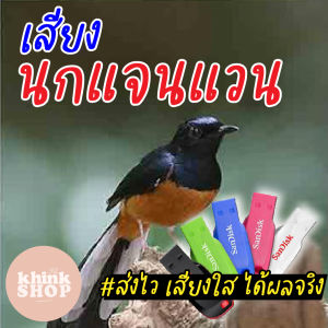เสียงต่อนกแจนแวน เมมเสียงนกแจนแวน แฟลชไดร์ฟเสียงต่อนกแจนแวน เสียงนกแจนแวน มีเก็บเงินปลายทาง