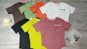 Áo thun nữ tập gym yoga aerobic thể thao croptop ngắn tay kèm mút chất liệu thun poly BINSPORTS A244