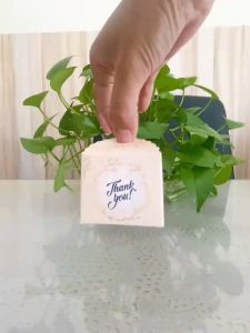 Combo 20 hộp quà tặng vuông nhỏ màu vàng kem thắt nơ