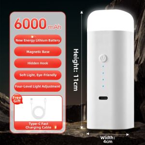 ZHENNIU | Portable Outdoor Emergency Light 10000mAh