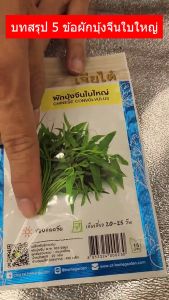 เมล็ดพันธุ์ ผักบุ้งจีนใบใหญ่ ตราเจียไต๋