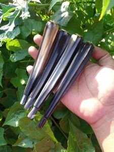 Pipa cangklong tanduk kerbau super motif blimbing