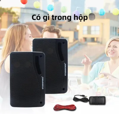 Loa Bluetooth Ngoài Trời Studiofinix 3.5 Inch 200W Chống Nước Có Dây Gắn Tường Cho Sân Hiên Màu Đen Âm Thanh Cao Cấp (1 Cặp)