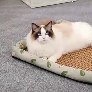 Pet Beds Sleeping Mat Dog Beds Rattan Woven Cat Sofa Mat Bed Summer Pet Cooling Mat for Small Dog Cats Kitten Puppy Beds Cushion