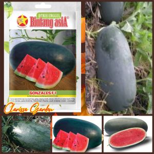 BENIH BINTANG ASIA SEMANGKA HIBRIDA GONZALES F1 ( KEMASAN PABRIK ) ISI -+ 25 BUTIR