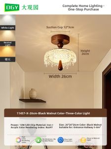 DGY | Vintage Style Simple Ceiling Light
