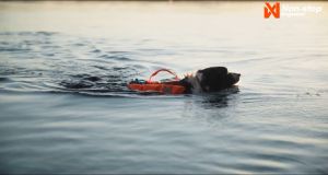 Non Stop Dogwear Protector Life Jacket for Dog Swim Float