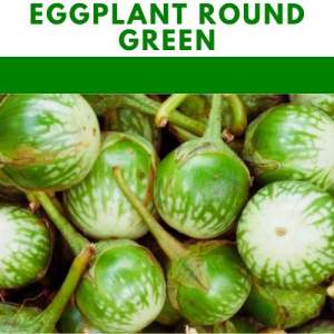 EGGPLANT GREEN ROUND repacked vegetable seeds