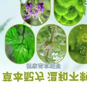 💗🙋‍♀️💗蛇盘克星疱诊蛇盘疮皮肤护理止痒膏乳膏皮肤乳膏软膏批发