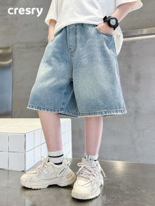 Summer Thin Denim Shorts
