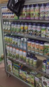 Thuốc trừ sâu Ngọc Tùng Tata 25WG 2gr Bọ Trĩ Rầy và Rệp Sáp