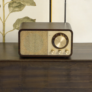 Bluetooth FM Radio Speakers High Quality Audio Mini