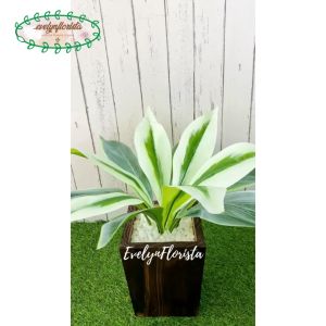 Pohon Daun Pandan Bali X12 Plastik Artificial Pot Kotak Motif Kayu Pajangan Dekorasi Rumah