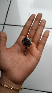 CINCIN TRIBAL SUKU KUNO/TRIBAL ANCIENT RUNE SPIN RING/CINCIN LOGAM SILVER PRIA WANITA-CJR TITANIUM