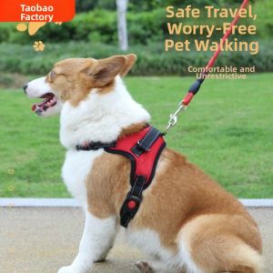 Jiaxun | Vest Style Dog Harness for Small Medium Large Dogs