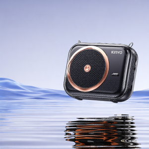 Kinyo | Wireless Lapel Microphone High Volume Lecturing Machine