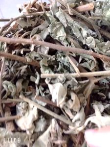 1kg Cây an xoa hoa tím - khoẻ cho lá GAN của bạn