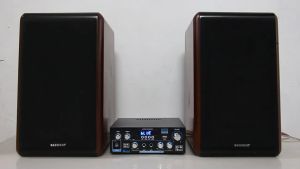 Woopker Amplifier AK55 RMS 70W+70W Channel 2.0 Bluetooth 5.0Hifi Home Power Amplifier MAX900W Subwoofer Dual MIC Inputs FM Radio
