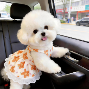 Petone dOrage | Breathable Pet Dress Anti Shedding