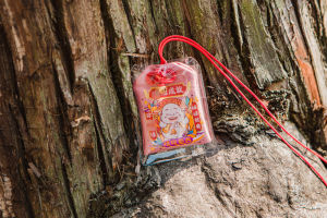 Good Luck Charm Amulet Hanging Ornament for Mobile Phones And Car Bags Couples Fortune Attracting Peach Blossom Design
