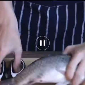 Kitchen Scissors  Multipurpose stainless steel heavy duty heavy duty kitchen scissors SHIP 24H READY STOCK SG  #31